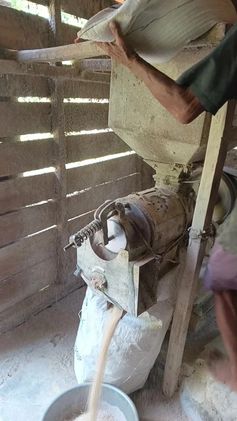 Vertical Candid Rice Mill Operator Processing Grain in Machine 스톡 동영상 335019050