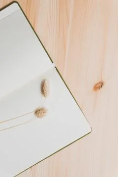 Vertical caption of a notebook with dry plants over a natural pine wood table Stock Photos