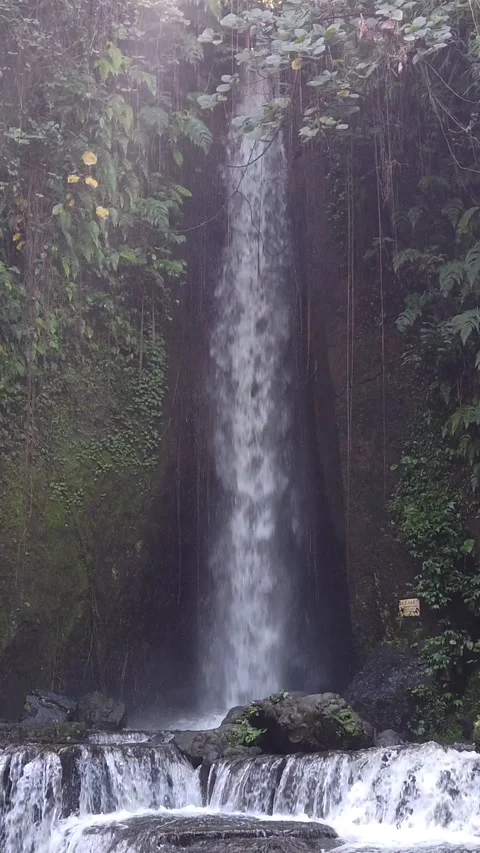 Vertical Cascade Waterfall Water Flow in Lush Rainforest Ubud Bali Indonesia Stock Footage 342054207