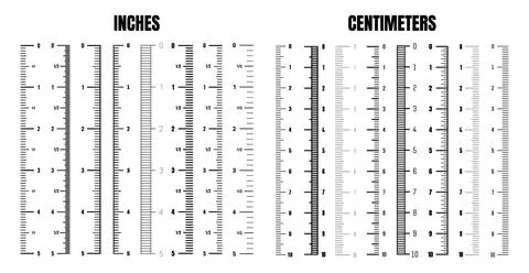 Vertical centimeter and inch scale for measuring length or height. Various Stock Illustration
