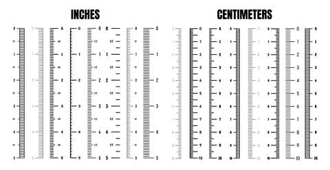 Vertical centimeter and inch scale for measuring length or height. Various Stock Illustration