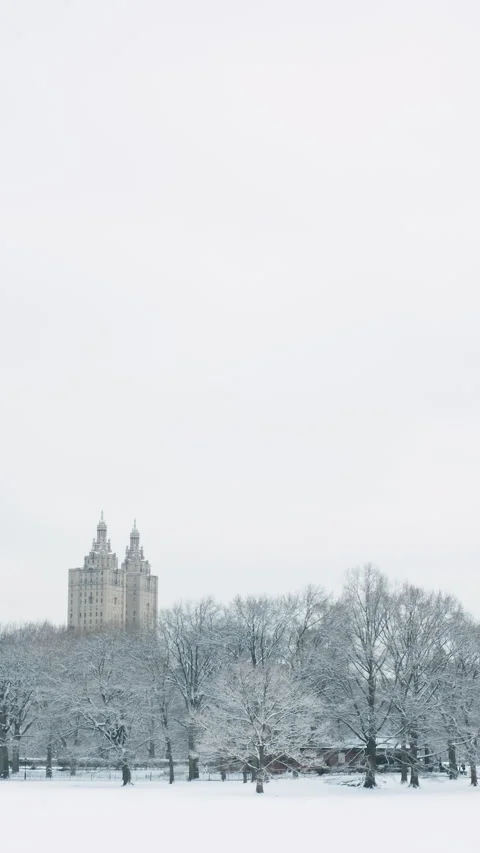 Vertical Central Park in winter Stock Footage 304154305