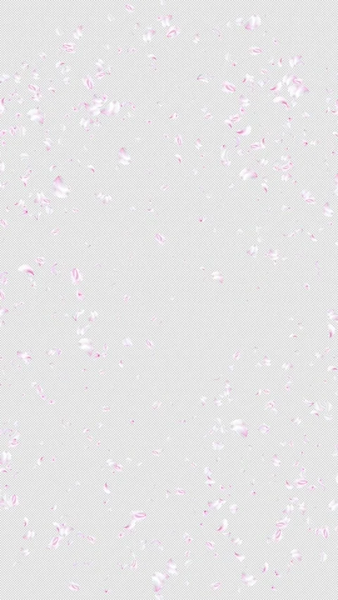 Vertical Cherry Blossom and Sakura Petals Burst from Center and Fall, Alpha Stock Footage 337983168
