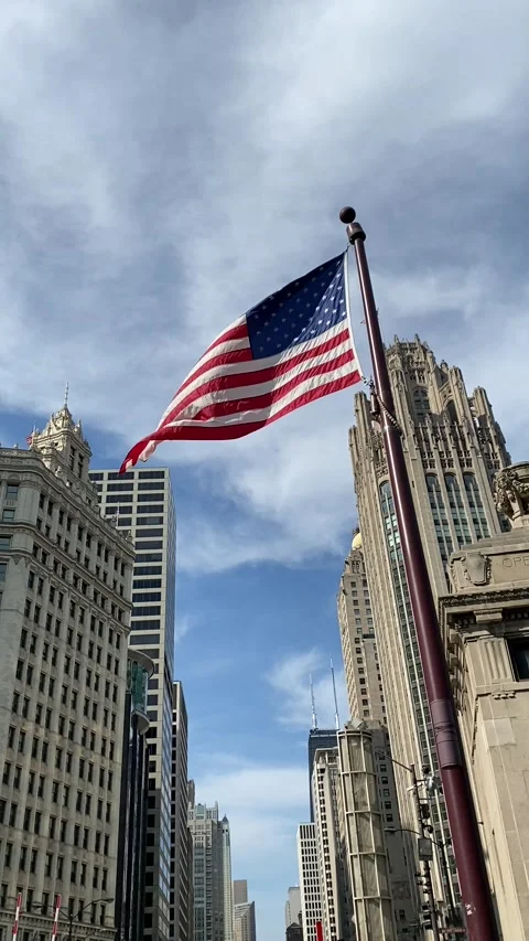 Waving Flag Chicago Bears Professional Team Stock Footage Video (100%  Royalty-free) 28192423