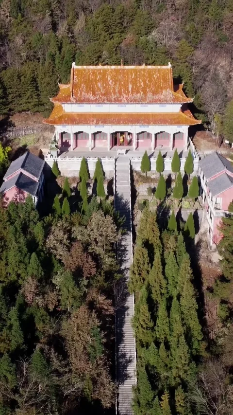 Vertical Chinese Architecture Aerial View Drone Heritage Motion Stock Footage 327678337