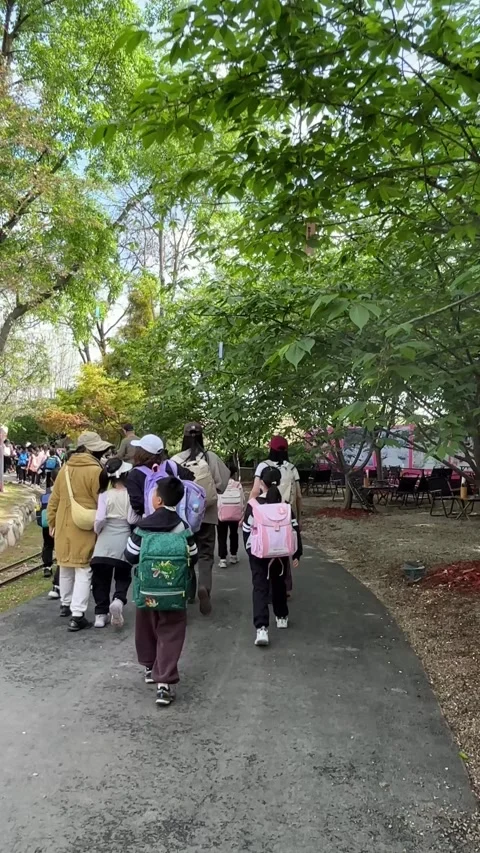 Vertical Chinese Schoolchildren on Spring Field Trip in Park 4k 库存影片 334940357