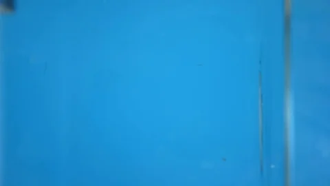 Vertical. chopped carrots fall into the water. blue background. Stock Footage 126588375