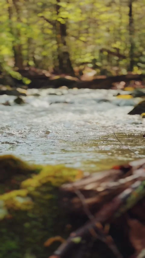 Vertical Cinematic Rack Focus On Flowing River Stock Footage 339908784