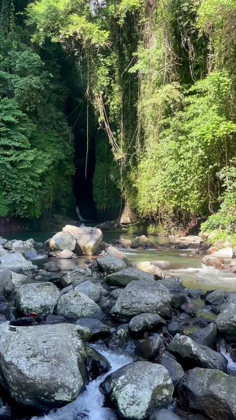 Vertical cinematic shot of a hidden cave canyon and rocky river in Bali jungle Stock Footage 336904252