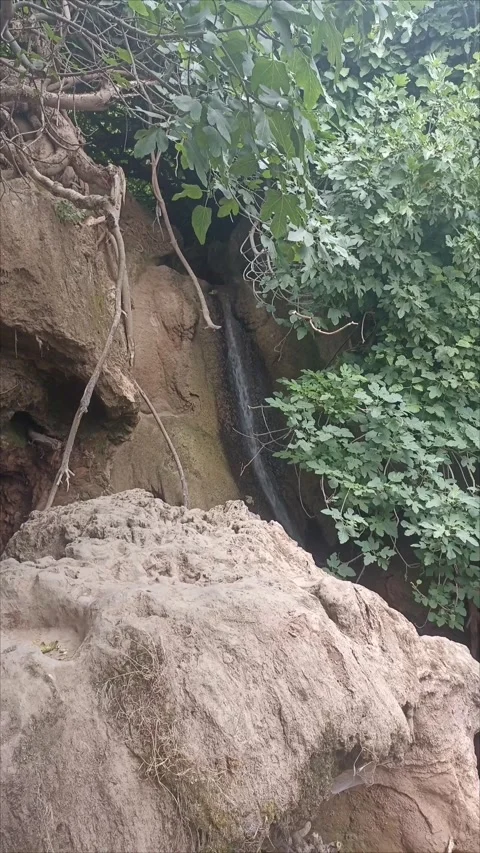 Vertical Cinematic Shot Of Small Forest Waterfall 動画素材 340397828