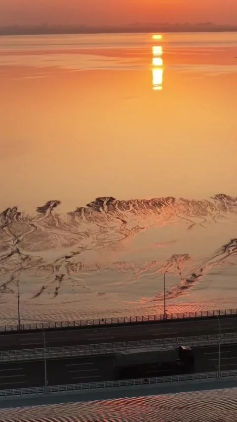 Vertical Cinematic Sun Reflection on Tidal Flat Tree Patterns Vídeos de archivo 334723875