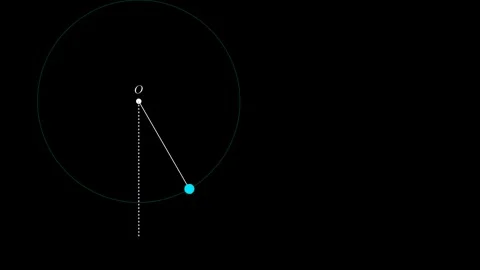 Vertical circular motion 스톡 동영상 335190860