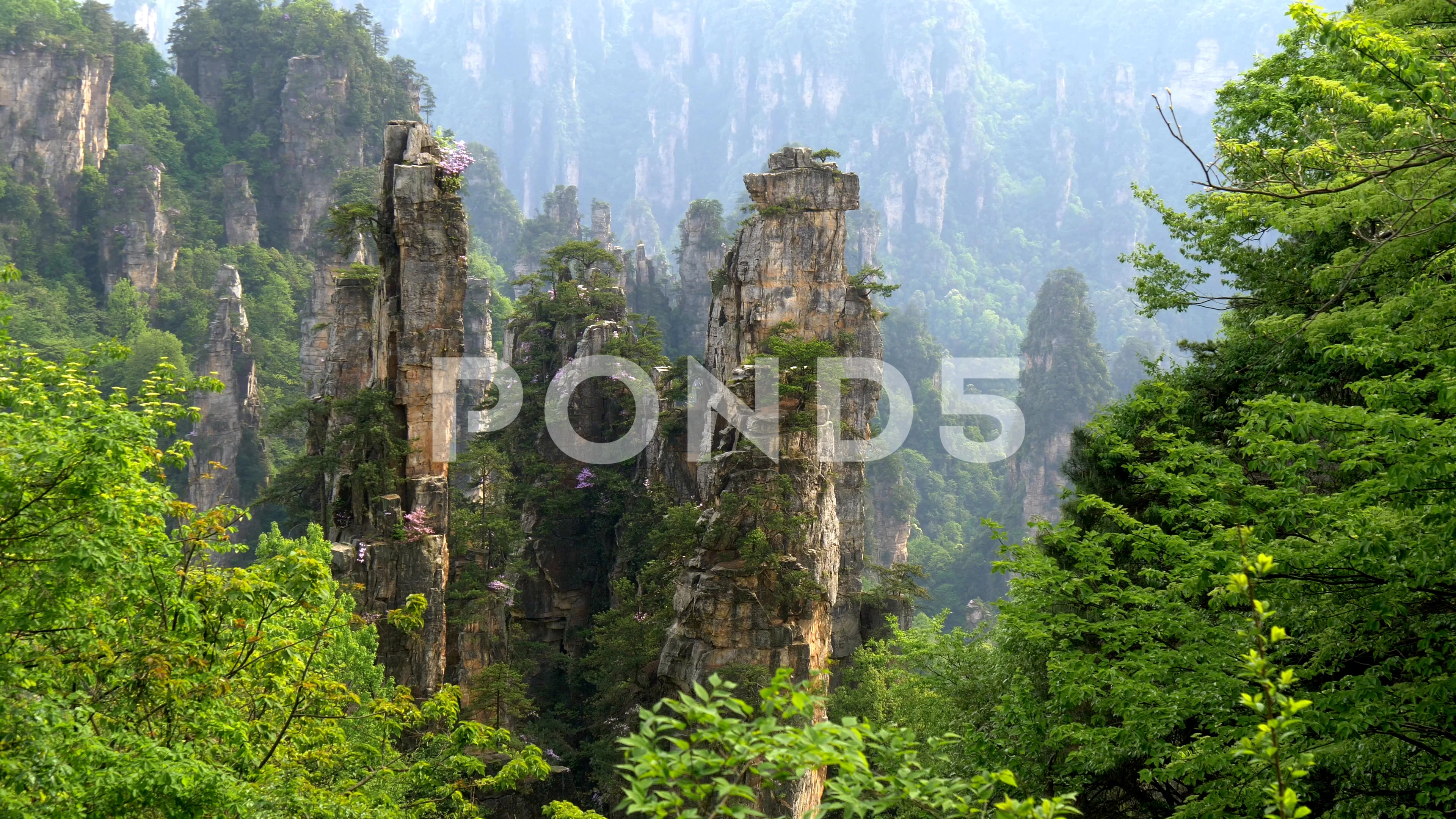 Zhangjiajie National Forest Park Avatar Floating Mountains In The  Wulingyuan Scenic Area Hunan Province China Stock Photo Picture And  Royalty Free Image Image 81993520