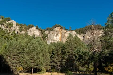 Vertical cliffs over the pine tree forest Foto stock