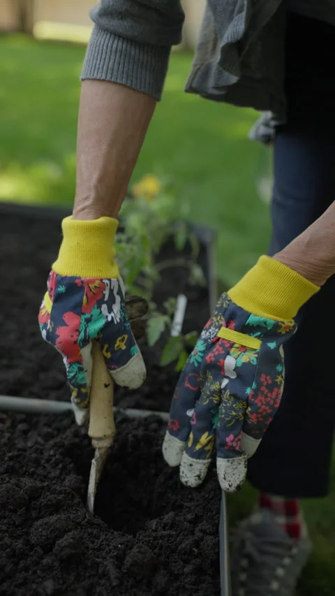 Vertical clip of Hispanic Woman's Hands Gardening Stock Footage 246388584