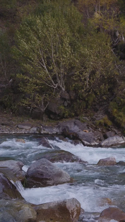 Vertical clip of mountain river with blurred autumn background Video stock 327689985