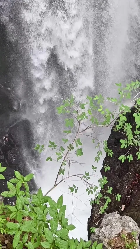 Vertical close-up above an Austrian waterfall plunge pool, with foaming water Stock Footage 340139341