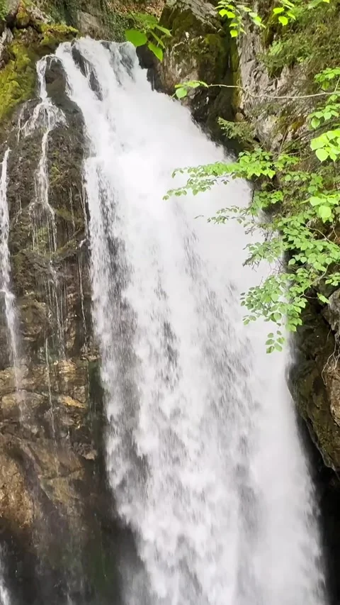 Vertical close-up of an Austrian forest waterfall rushing down dark rock Stock-Footage 344009649