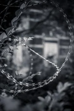Vertical close-up of barbed wire arranged in a circular shape Stock Photos