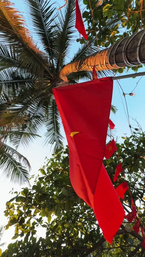 Vertical Close up of big Vietnamese National flag waving on palm tree. Tropical Vidéo 343043899