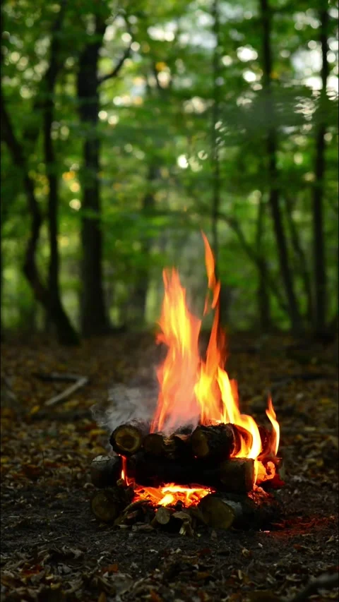 Vertical close up of bright campfire burning in dark forest night flame Stock Footage 345716481