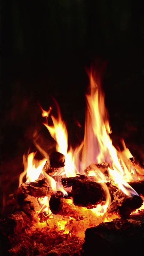 Vertical close up of bright fire and hot embers burning on logs in woods Stock Footage 345716351
