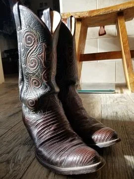 Vertical close up - brown lizard leather cowboy boots Stock Photos