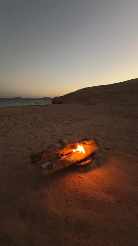Vertical Close Up of Campfire Burning on Desert Beach at Dusk Stock Footage 341995536