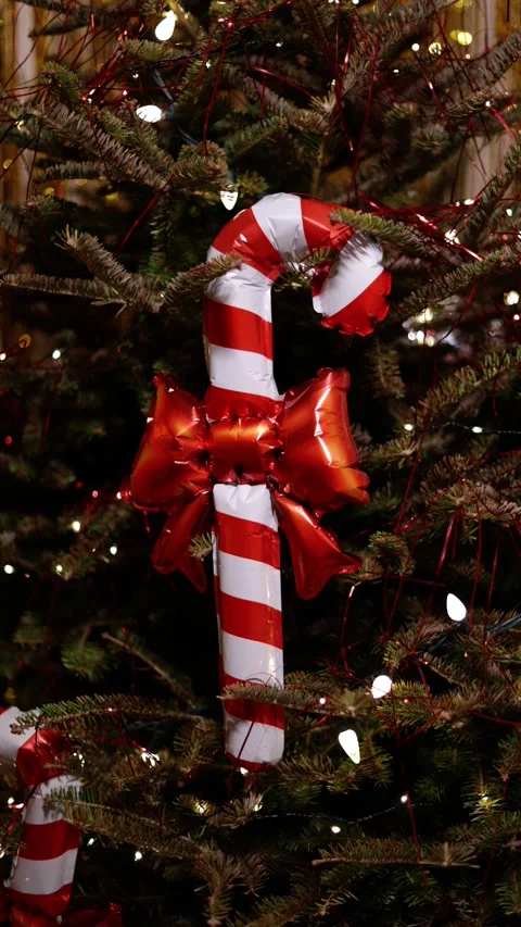 A Vertical Close Up Of A Candy Cane Balloon Ornament On Christmas Tree Stock Footage 313702578