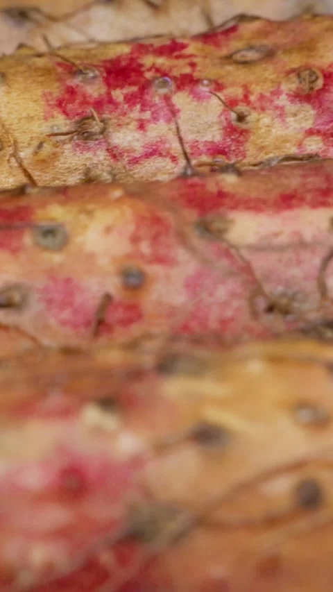 Vertical: Close-up of Chinese yam rusty reddish skin 動画素材 341836822
