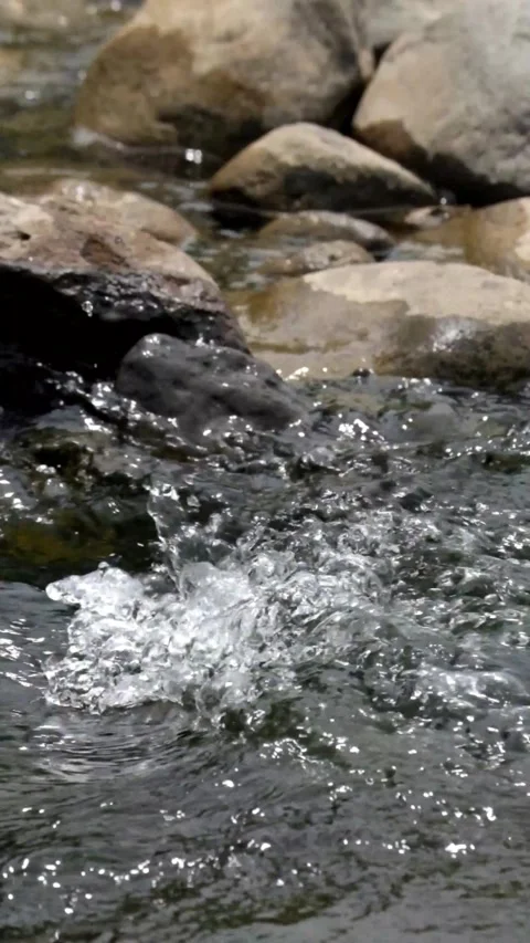 Vertical close-up of a clear river cascade Stock Footage 323148124