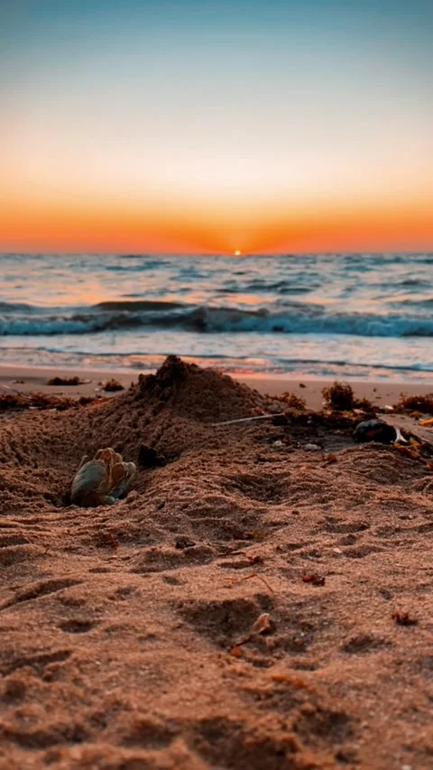 Vertical Close-up of a Crab Emerging from its Burrow on a Beach at Sunset 库存影片 333401463