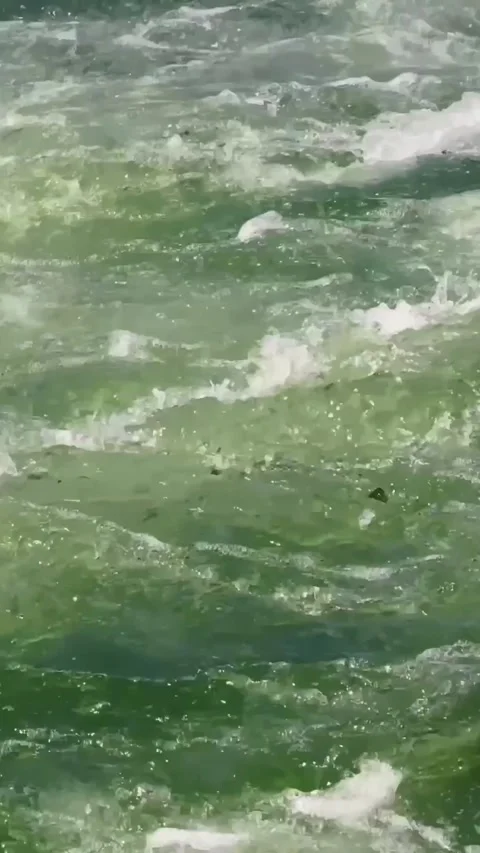 Vertical close-up of fast green whitewater rapids on the Tacen kayak course in Stock Footage 341412937