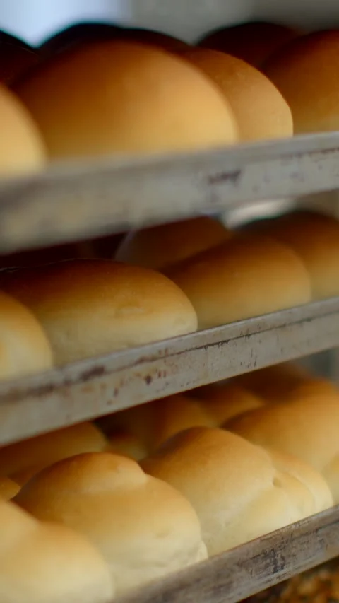 Vertical close-up of freshly baked rolls on multi-tier bakery rack with plain Vidéo 344572621