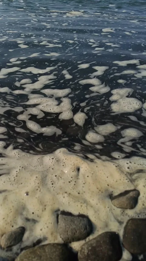 Vertical close-up of gentle ocean waves washing white sea foam over pebbles Vídeos de archivo 340966327