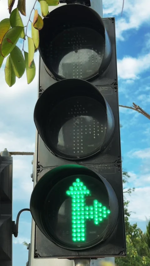 Vertical Close up of Green Yellow And red Left Turn Arrow Traffic Light Signal Stock Footage 345544687