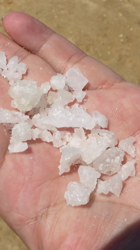 Vertical Close-up of Hand Holding Crystals of Raw Salt, La Guajira Colombia Stockbeeldmateriaal 333906315