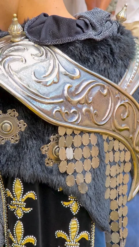Vertical close up of luxurious medieval warrior costume with golden fleur-de Stock Footage 342769443