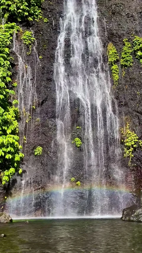 Vertical close up of natural rainbow on tropical waterfall in Bali Stock Footage 336473839