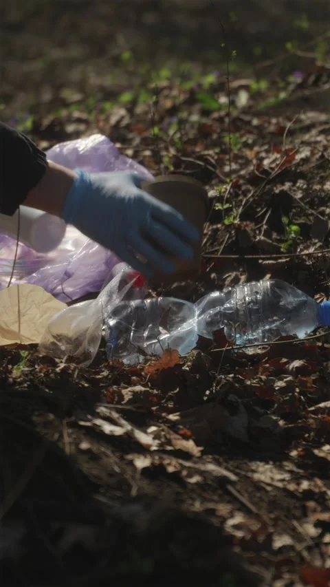Vertical close up of picking up trash in forest with gloves Stock Footage 332358773