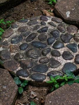 Vertical Close-Up of River Pebble Stepping Stone Surrounded by Greenery Stock Photos