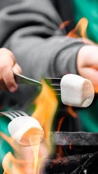 Vertical close up of roasting sweet marshmallows on a campfire fork during .. Stock Photos