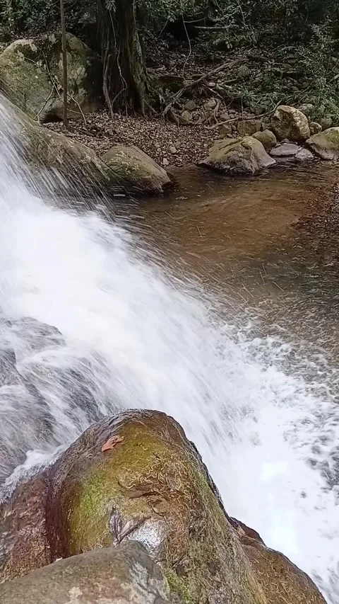 Vertical Close-up of Rushing Jungle Waterfall and Cascading Stream Stock Footage 329085978