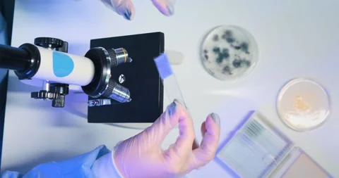 Vertical close-up of scientist working with microscope samples Video stock 151354329