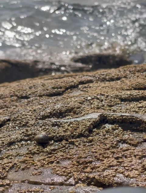 Vertical Close Up Shot of Coastal Rock Surface with Waves Stock Footage 340775099