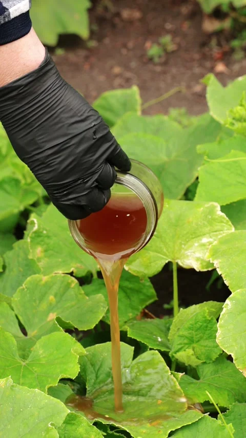 Vertical close-up shot of a gloved hand pouring liquid fertilizer from a gl.. Stock-Footage 346221467