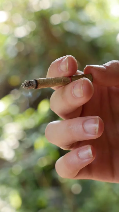 Vertical close-up shot of a lit bidi or beedi in a woman hand. Thin cigarette Stock Footage 312336940