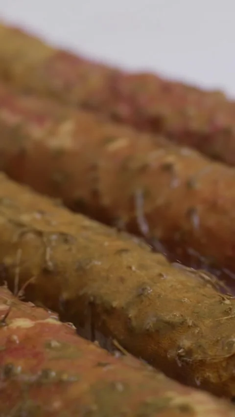 Vertical: close-up shot of washing dirt off Chinese yam under running water. Stock Footage 341836689