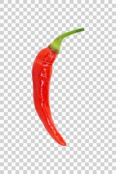 Vertical Close-up of a Single Red Chili Pepper Stock Photos