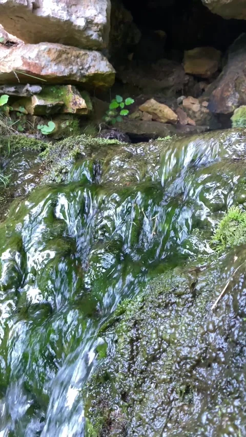 Vertical close up of spring water as it falls and drips over green moss Vidéo 272739845
